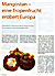 Presseartikel: B-young / Frühjahr 2009: Mangostan - eine Tropenfrucht erobert Europa